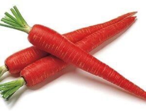 Carrot